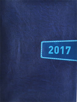 DIARIA GRANDE DISE&Ntilde;O LIVERPOOL AZUL-AZUL